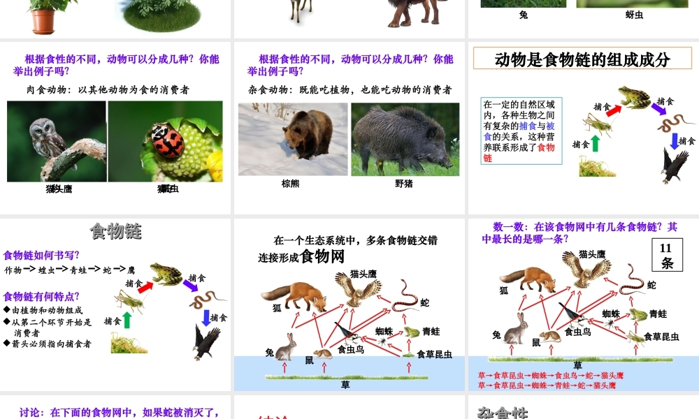 八年级生物上册 17.1动物在生物圈中的作用（第1课时）课件 （新版）北师大版