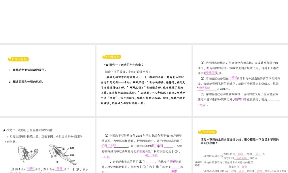 八年级生物上册 4.1.2 运动的完成课件 （新版）冀教版-（新版）冀教级上册生物课件
