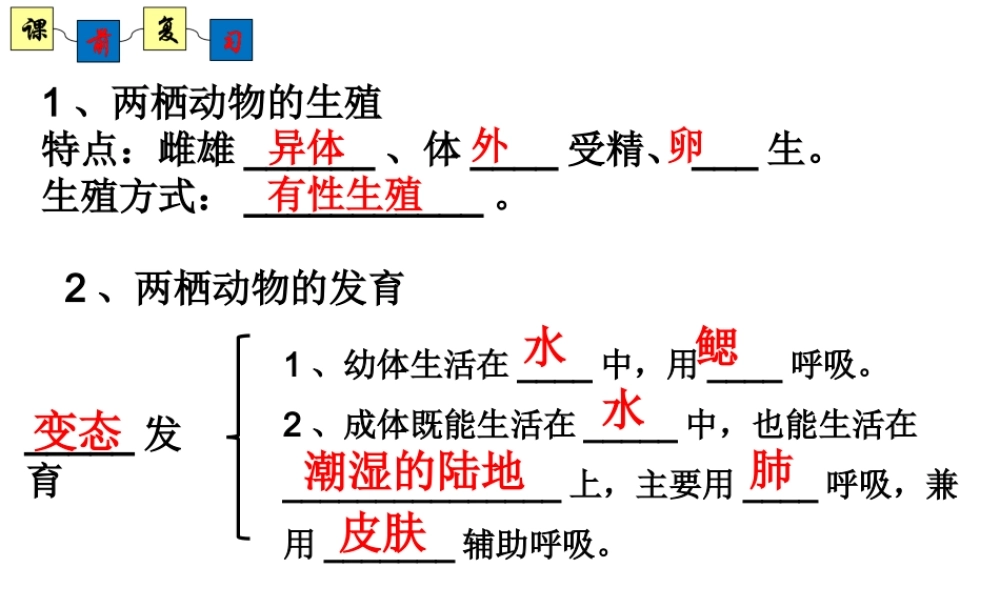 八年级生物上册 4.2.3《鸟的生殖和发育》课件2 （新版）济南版-（新版）济南级上册生物课件