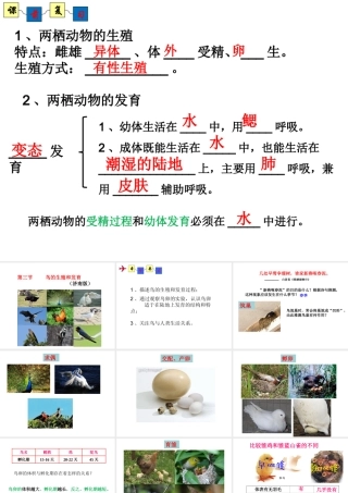 八年级生物上册 4.2.3《鸟的生殖和发育》课件2 （新版）济南版-（新版）济南级上册生物课件