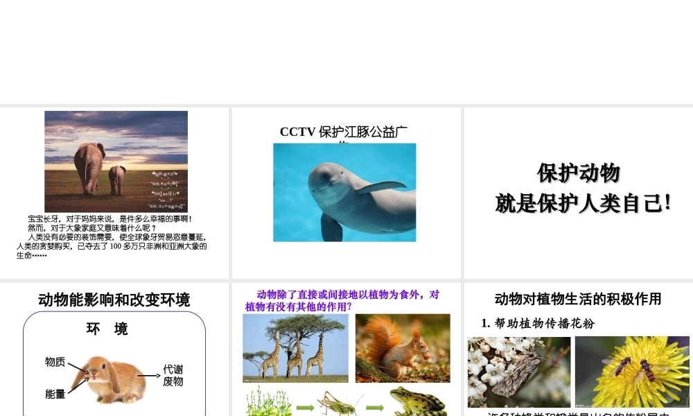 八年级生物上册 17.1动物在生物圈中的作用（第2课时）课件 （新版）北师大版