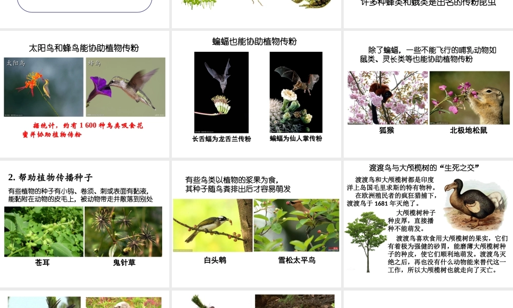 八年级生物上册 17.1动物在生物圈中的作用（第2课时）课件 （新版）北师大版