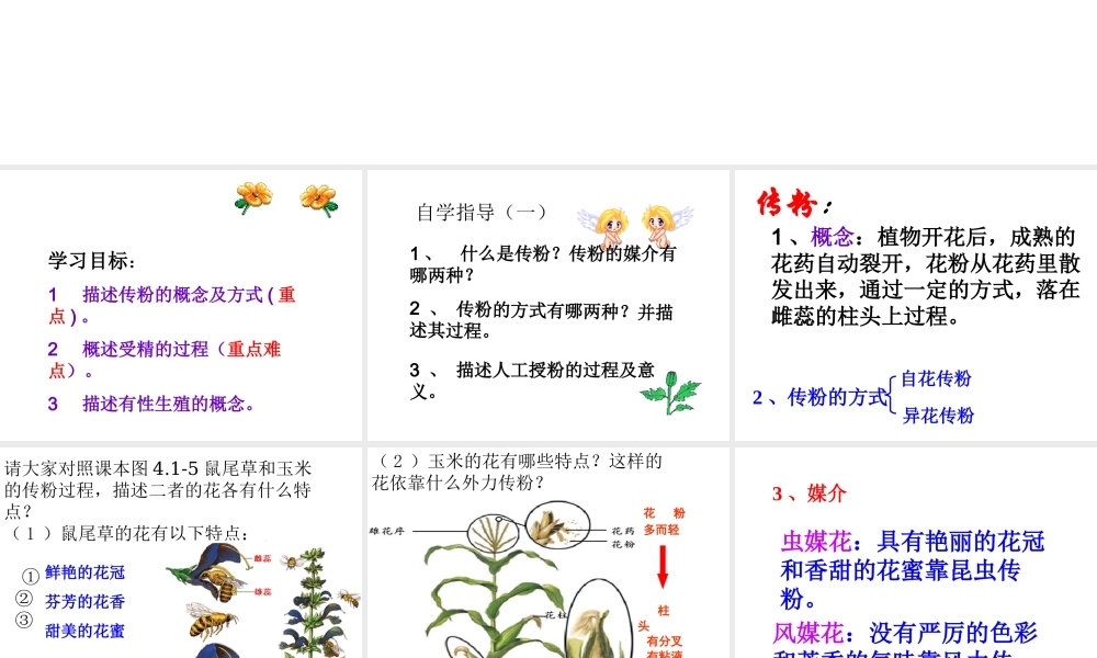 八年级生物上册 4.1.2《传粉与受精》课件 （新版）济南版-（新版）济南版初中八年级上册生物课件