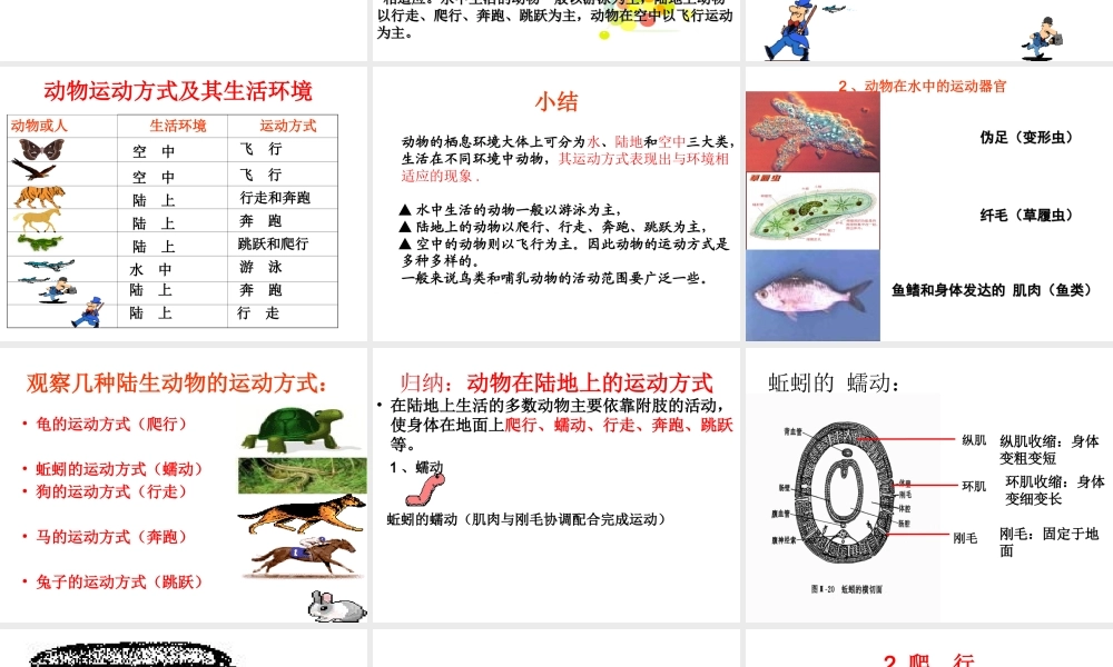 八年级生物上册 4.2《动物的运动与饲养场所》课件 冀教版