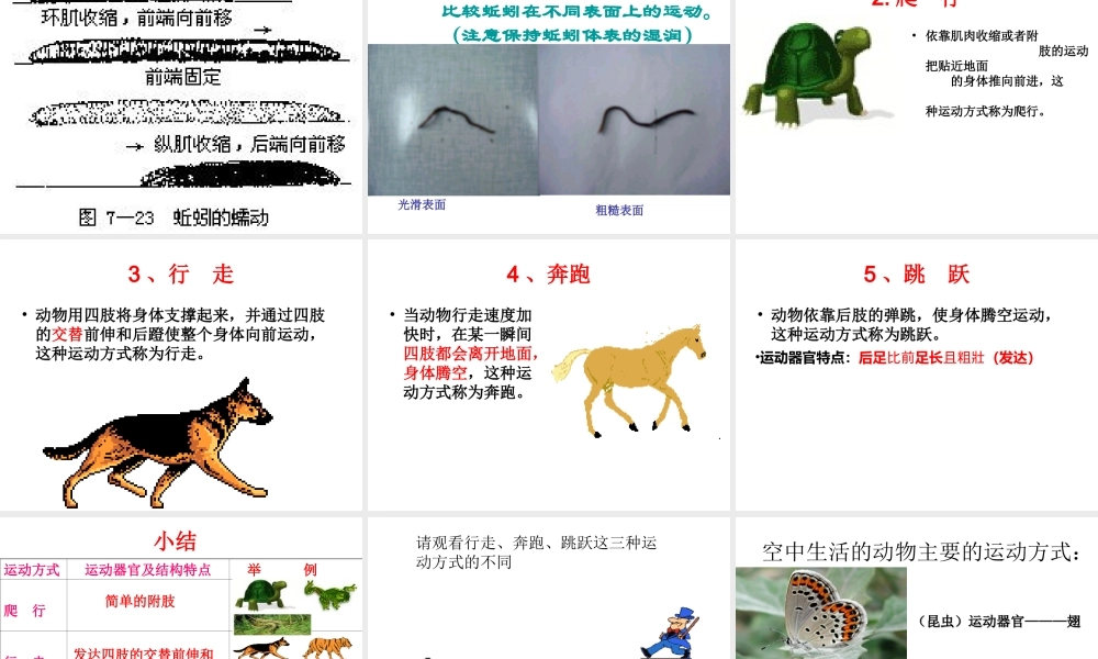 八年级生物上册 4.2《动物的运动与饲养场所》课件 冀教版