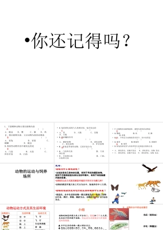 八年级生物上册 4.2《动物的运动与饲养场所》课件 冀教版