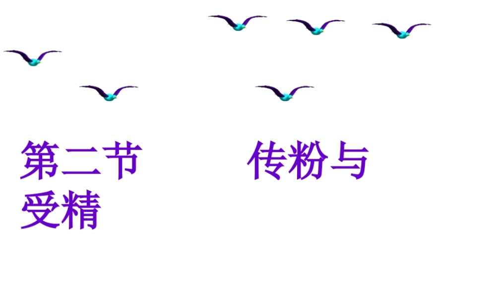 八年级生物上册 4.1.2《传粉与受精》课件 （新版）济南版-（新版）济南级上册生物课件