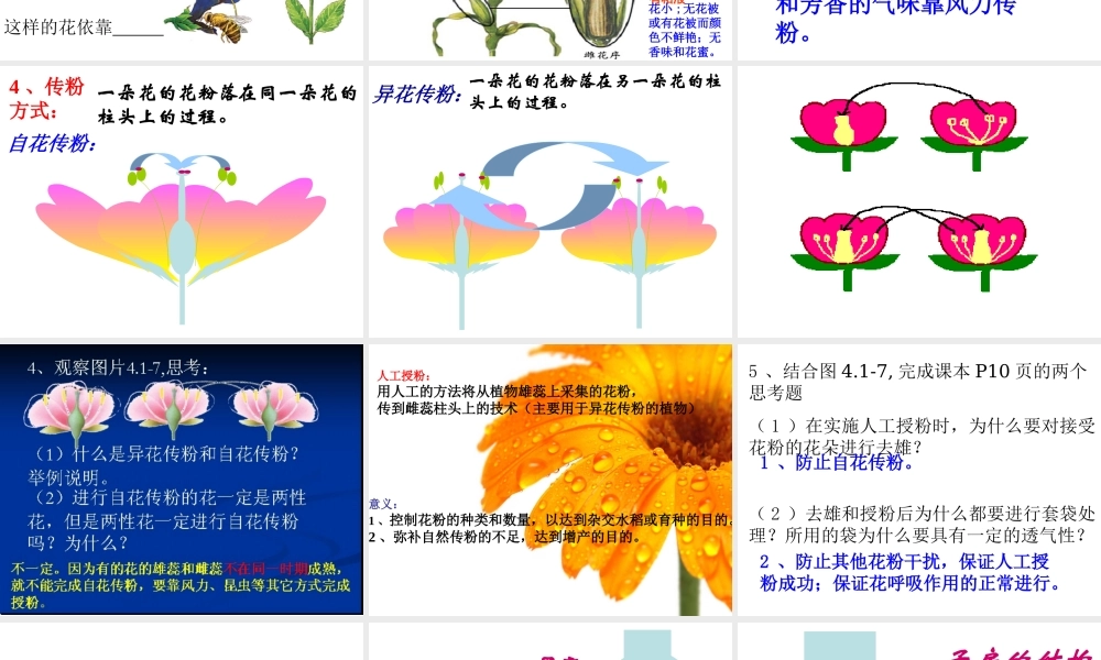 八年级生物上册 4.1.2《传粉与受精》课件 （新版）济南版-（新版）济南级上册生物课件