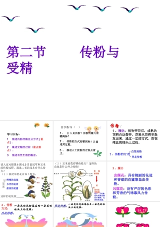 八年级生物上册 4.1.2《传粉与受精》课件 （新版）济南版-（新版）济南级上册生物课件