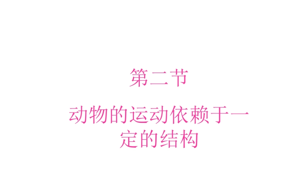 八年级生物上册 17.2 动物的运动依赖一定的结构课件 （新版）苏教版-（新版）苏教版初中八年级上册生物课件