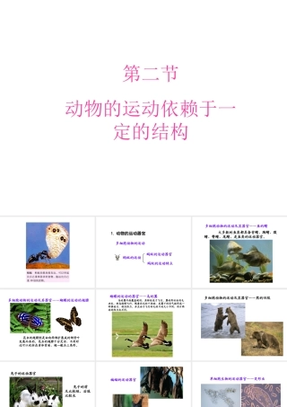 八年级生物上册 17.2 动物的运动依赖一定的结构课件 （新版）苏教版-（新版）苏教版初中八年级上册生物课件
