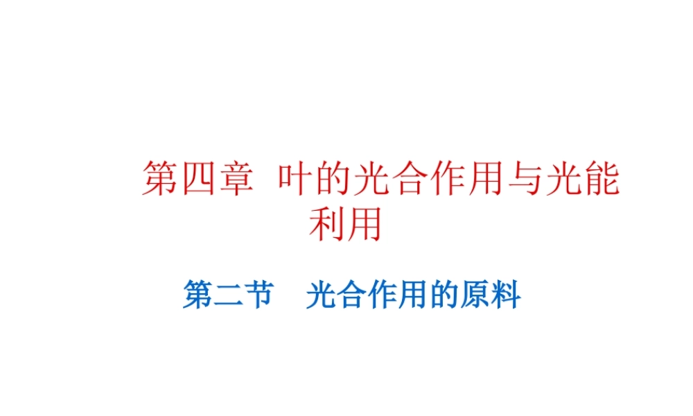 八年级生物上册 4.2《光合作用的原料》课件 冀教版