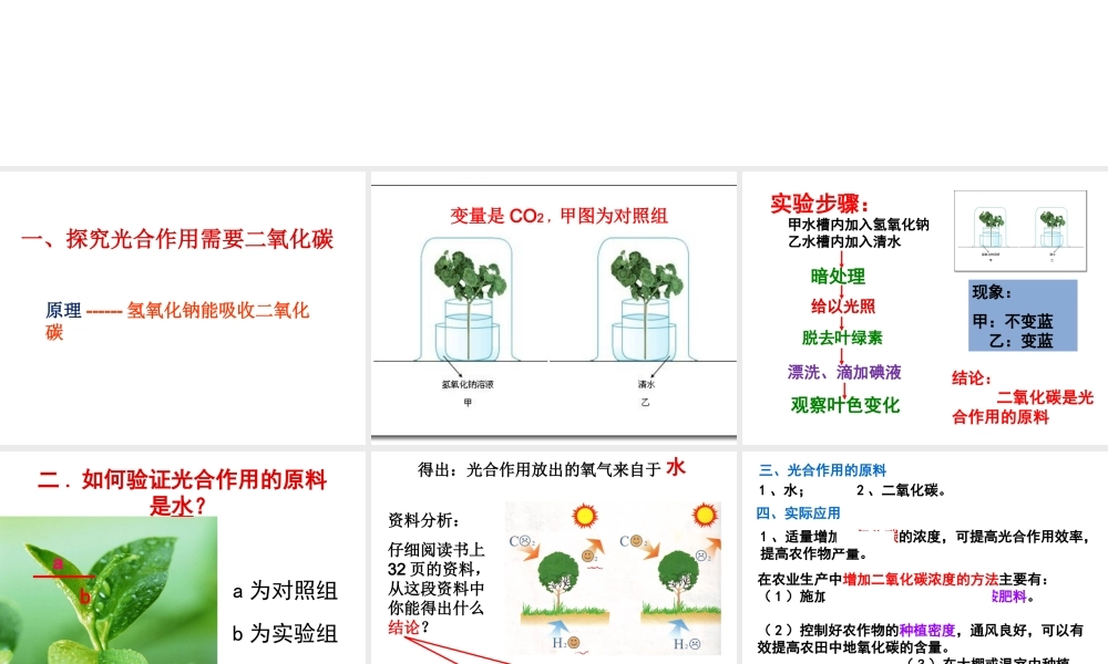 八年级生物上册 4.2《光合作用的原料》课件 冀教版