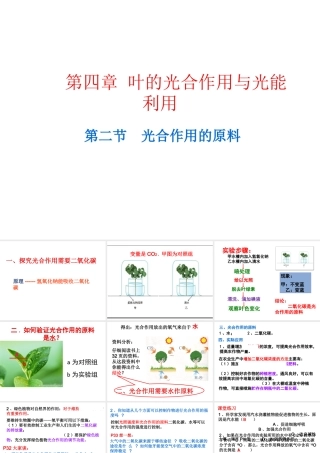 八年级生物上册 4.2《光合作用的原料》课件 冀教版