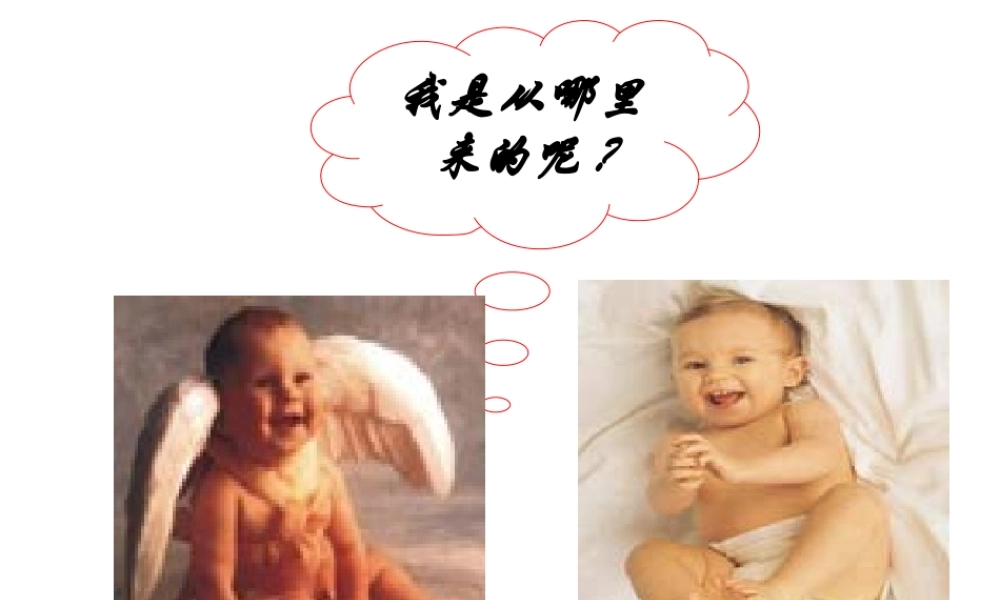 八年级生物上册 4.3.1 婴儿的诞生课件 （新版）济南版-（新版）济南版初中八年级上册生物课件