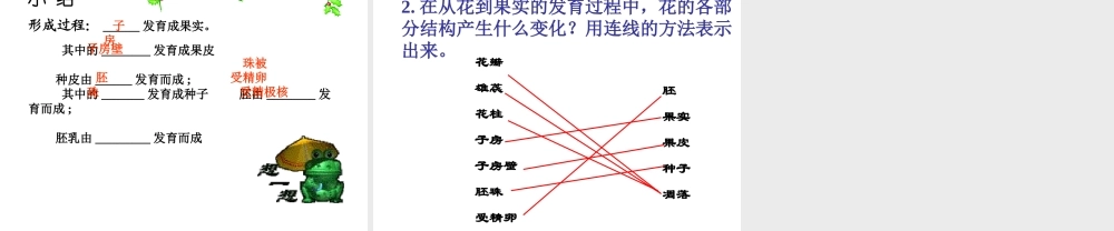 八年级生物上册 4.1.3 果实与种子的形成课件 （新版）济南版-（新版）济南版初中八年级上册生物课件