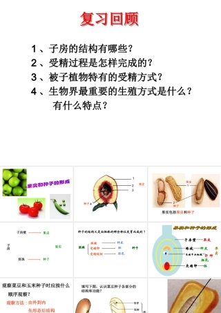 八年级生物上册 4.1.3 果实与种子的形成课件 （新版）济南版-（新版）济南版初中八年级上册生物课件