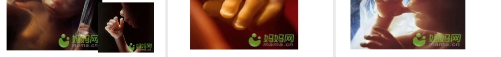 八年级生物上册 10.1 人的生殖和发育教学课件 （新版）北京版-北京级上册生物课件