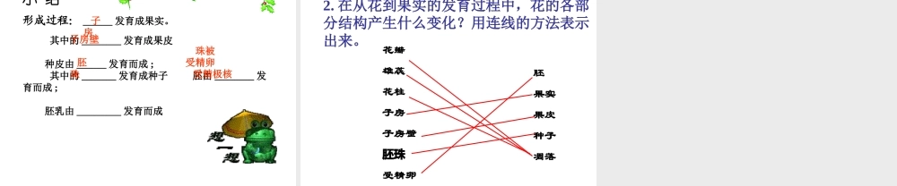 八年级生物上册 4.1.3 果实与种子的形成课件 （新版）济南版-（新版）济南级上册生物课件