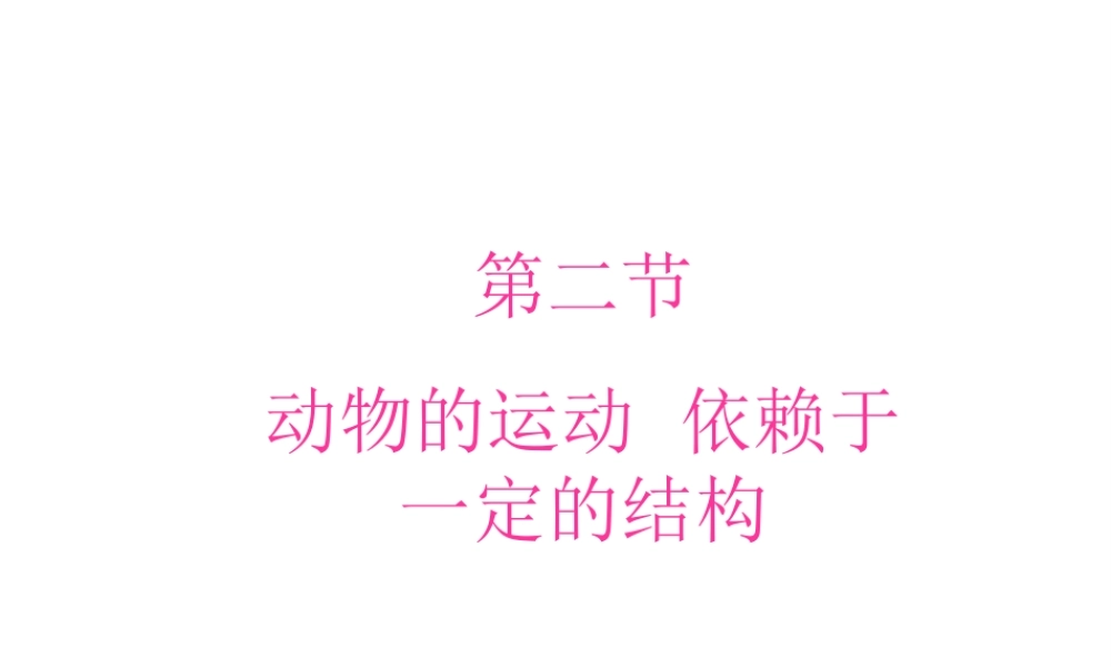 八年级生物上册 17.2 动物的运动依赖一定的结构课件（2）（新版）苏教版-（新版）苏教版初中八年级上册生物课件