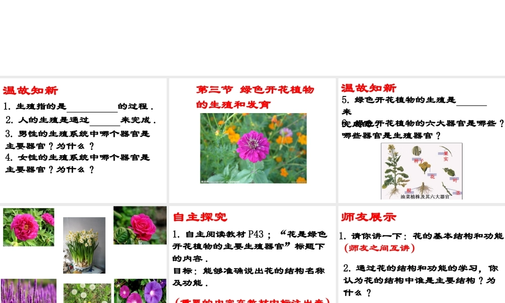 八年级生物上册 10.3 绿色开花植物的生殖和发育教学课件 （新版）北京版-北京版初中八年级上册生物课件