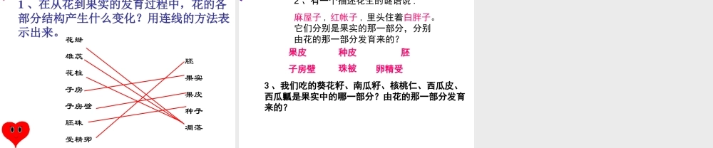 八年级生物上册 4.1.3《果实和种子的形成》课件 （新版）济南版-（新版）济南版初中八年级上册生物课件