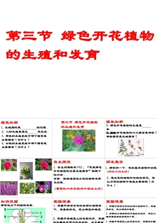 八年级生物上册 10.3 绿色开花植物的生殖和发育教学课件 （新版）北京版-北京级上册生物课件