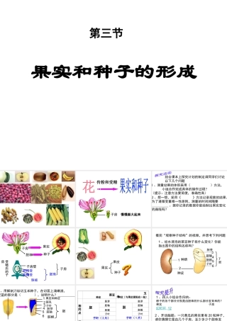 八年级生物上册 4.1.3《果实和种子的形成》课件 （新版）济南版-（新版）济南级上册生物课件