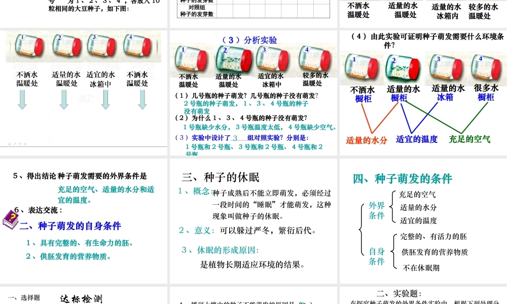 八年级生物上册 4.1.4 种子的萌发课件 （新版）济南版-（新版）济南版初中八年级上册生物课件