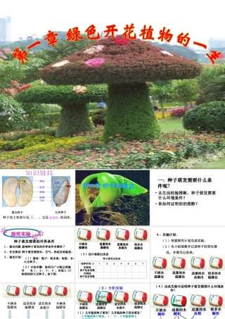 八年级生物上册 4.1.4 种子的萌发课件 （新版）济南版-（新版）济南版初中八年级上册生物课件