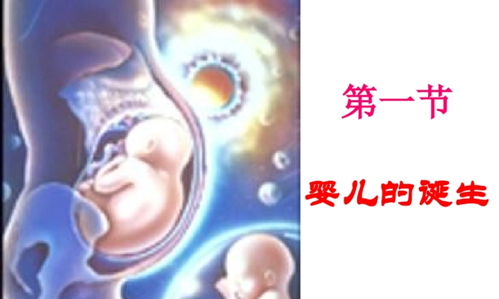 八年级生物上册 4.3.1 婴儿的诞生课件2 （新版）济南版-（新版）济南版初中八年级上册生物课件