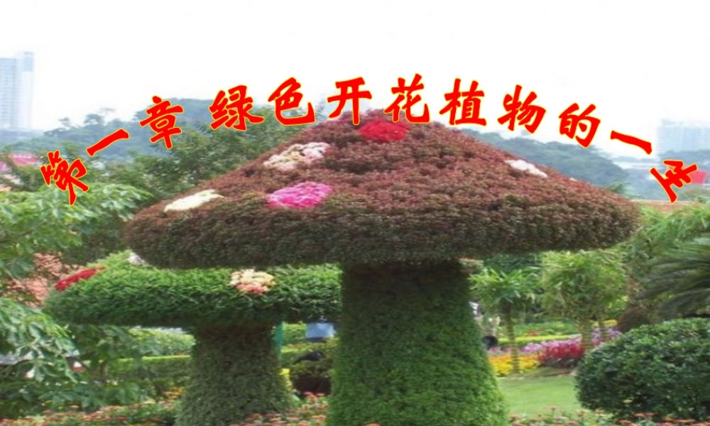 八年级生物上册 4.1.4 种子的萌发课件 （新版）济南版-（新版）济南级上册生物课件