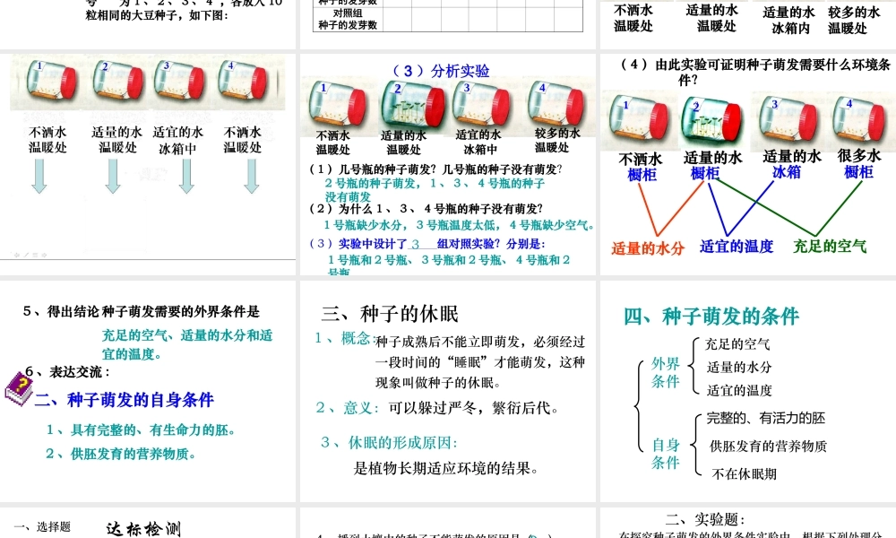 八年级生物上册 4.1.4 种子的萌发课件 （新版）济南版-（新版）济南级上册生物课件