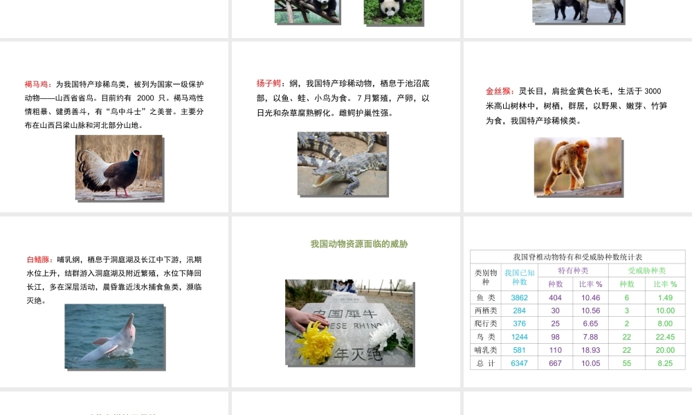 八年级生物上册 17.2 我国的动物资源及保护课件（1）（新版）北师大版-（新版）北师大版初中八年级上册生物课件