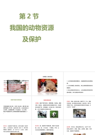 八年级生物上册 17.2 我国的动物资源及保护课件（1）（新版）北师大版-（新版）北师大版初中八年级上册生物课件