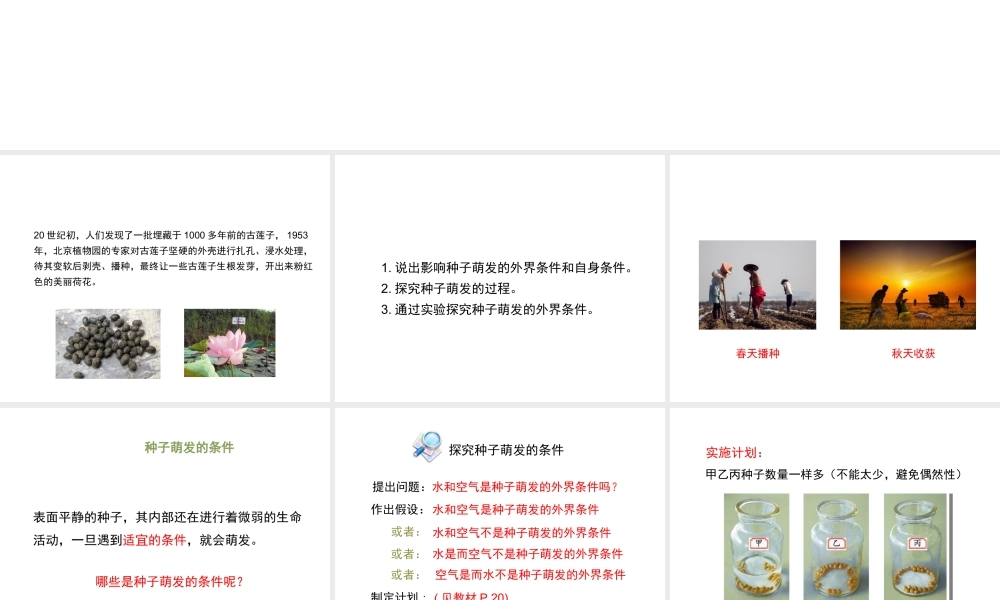 八年级生物上册 4.1.4《种子的萌发》课件 （新版）济南版-（新版）济南级上册生物课件