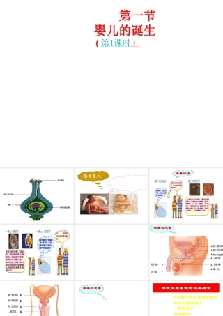 八年级生物上册 4.3.1《婴儿的诞生》课件1 （新版）济南版-（新版）济南级上册生物课件