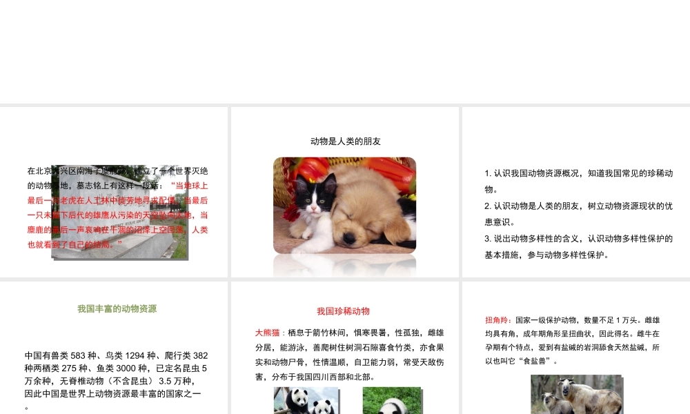 八年级生物上册 17.2 我国的动物资源及保护课件（1）（新版）北师大版-（新版）北师大级上册生物课件