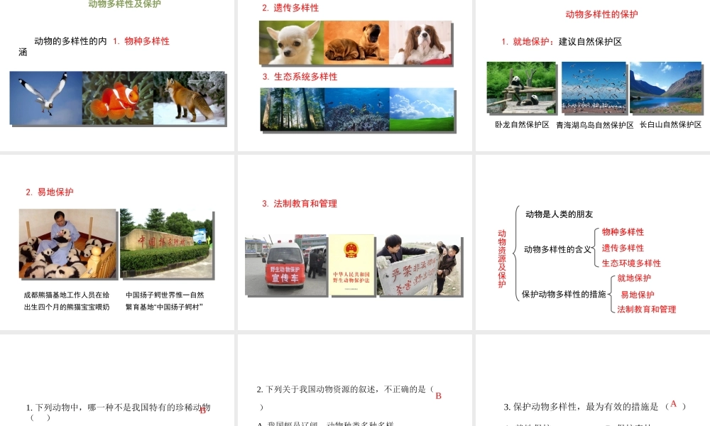 八年级生物上册 17.2 我国的动物资源及保护课件（1）（新版）北师大版-（新版）北师大级上册生物课件