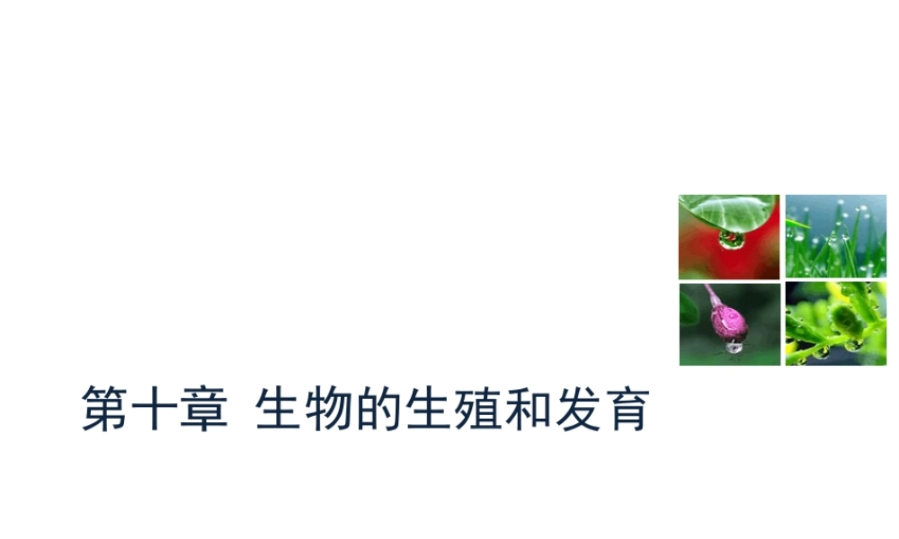 八年级生物上册 10.4 生物生殖的多种方式教学课件 （新版）北京版-北京级上册生物课件