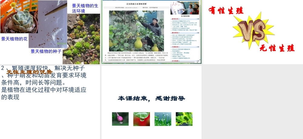 八年级生物上册 10.4 生物生殖的多种方式教学课件 （新版）北京版-北京级上册生物课件