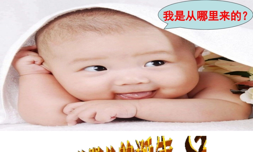 八年级生物上册 4.3.1《婴儿的诞生》课件2 （新版）济南版-（新版）济南版初中八年级上册生物课件