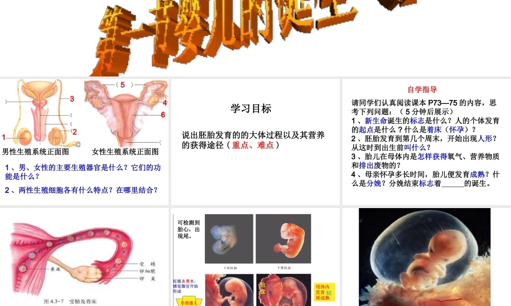 八年级生物上册 4.3.1《婴儿的诞生》课件2 （新版）济南版-（新版）济南版初中八年级上册生物课件