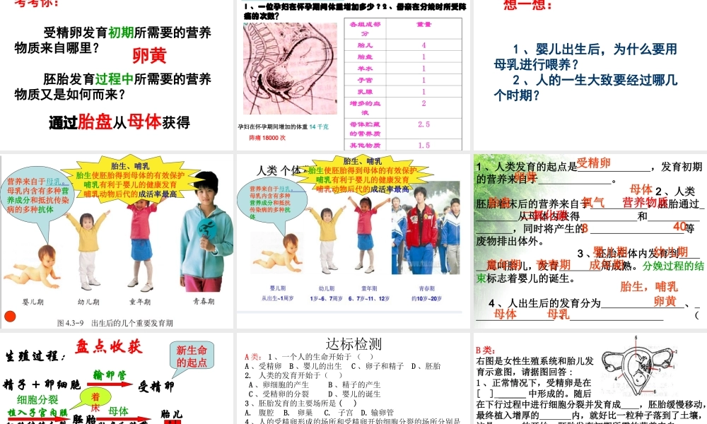 八年级生物上册 4.3.1《婴儿的诞生》课件2 （新版）济南版-（新版）济南版初中八年级上册生物课件