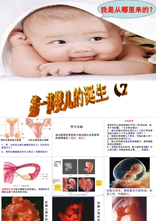 八年级生物上册 4.3.1《婴儿的诞生》课件2 （新版）济南版-（新版）济南版初中八年级上册生物课件