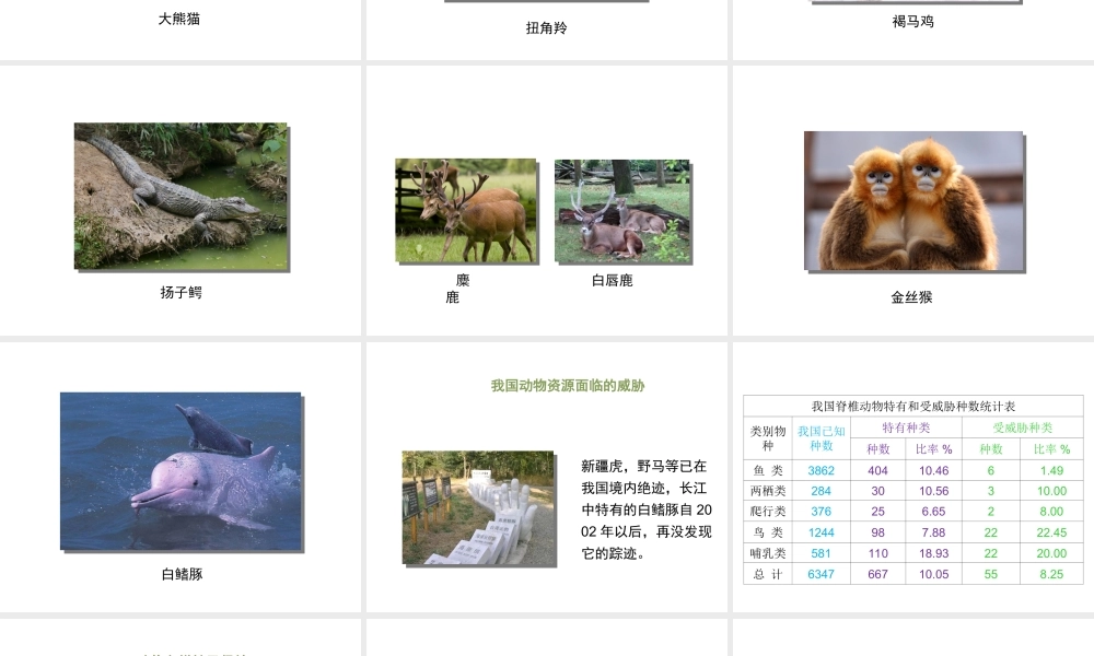 八年级生物上册 17.2 我国的动物资源及保护课件（2）（新版）北师大版-（新版）北师大级上册生物课件
