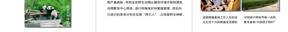 八年级生物上册 17.2 我国的动物资源及保护课件（2）（新版）北师大版-（新版）北师大级上册生物课件