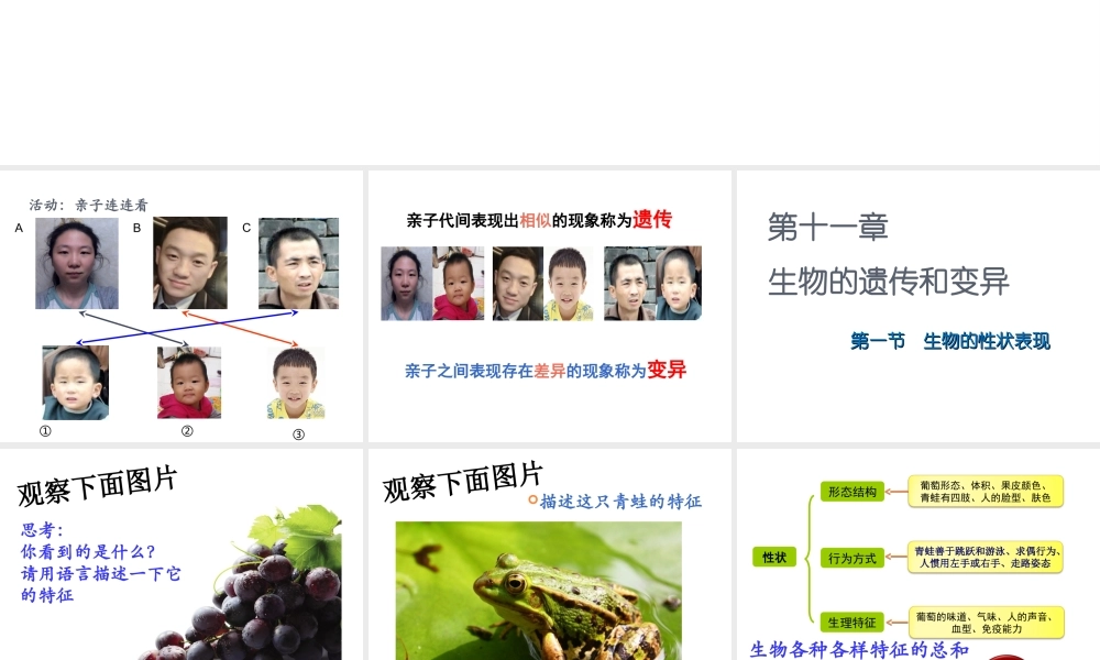 八年级生物上册 11.1 生物的性状表现教学课件 （新版）北京版-北京版初中八年级上册生物课件