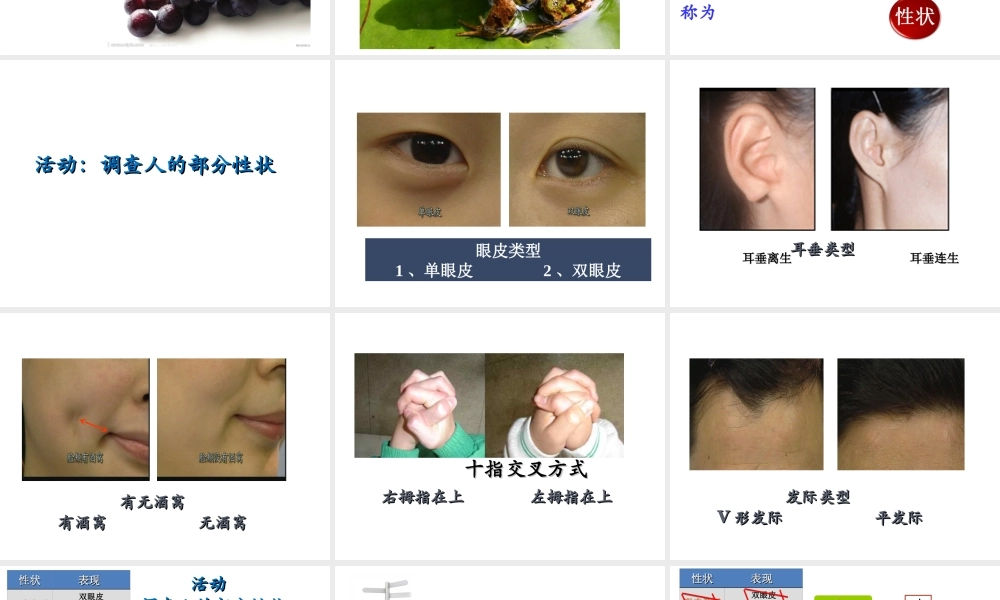 八年级生物上册 11.1 生物的性状表现教学课件 （新版）北京版-北京版初中八年级上册生物课件