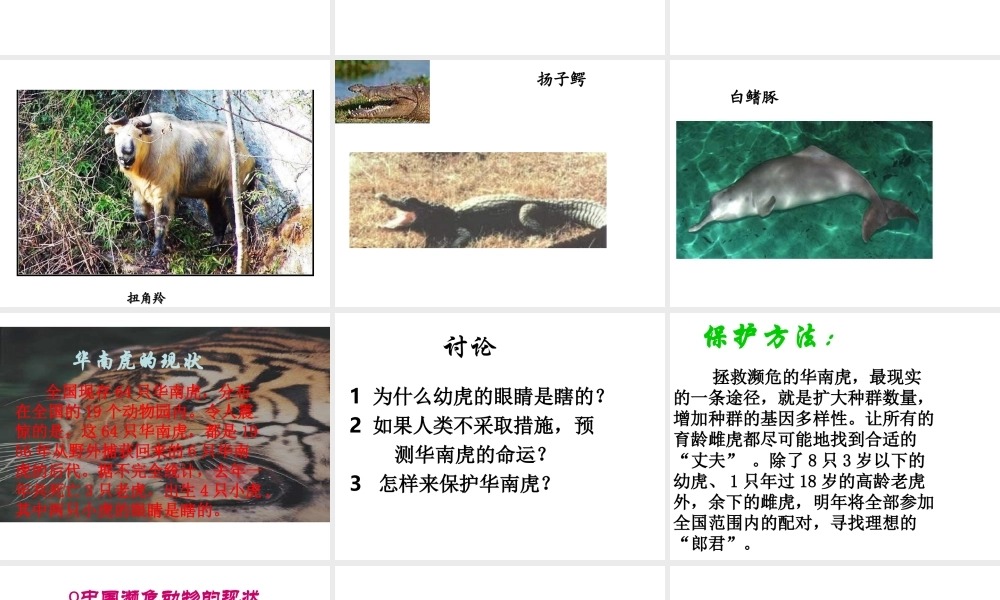 八年级生物上册 17.2 我国的动物资源及其保护课件 （新版）北师大版-（新版）北师大版初中八年级上册生物课件